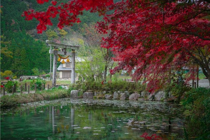日本紅葉2022 日本旅遊賞楓懶人包 拍拖景點 紅葉打卡攻略